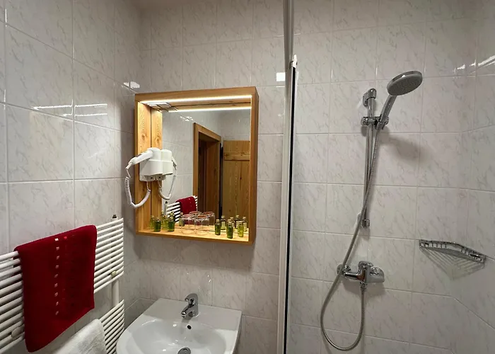 Bed and breakfast Surc 3*